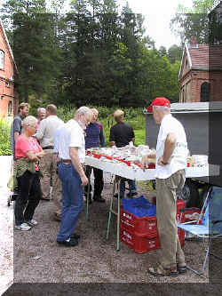 steinulvene_1.jpg (69312 bytes)