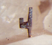 Bj�nndalen, Nittedal