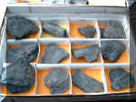 fossiler.jpg (69935 byte)